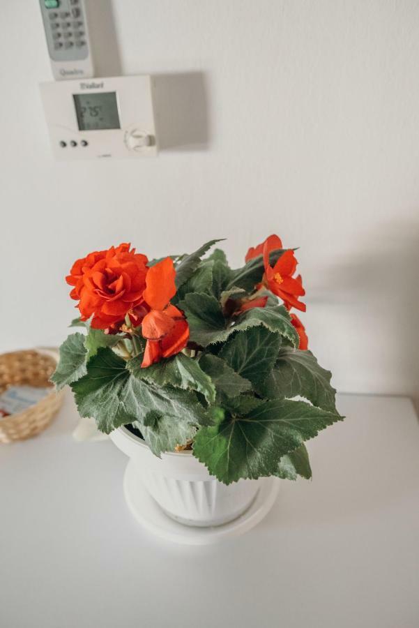 Ðakovo Apartman "Joka" מראה חיצוני תמונה